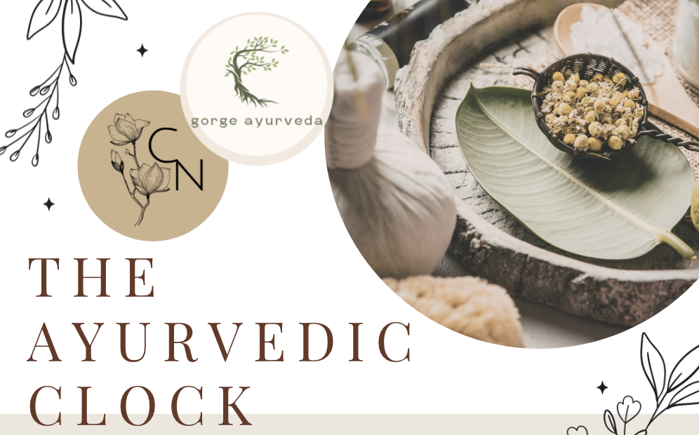 The Ayurvedic Clock