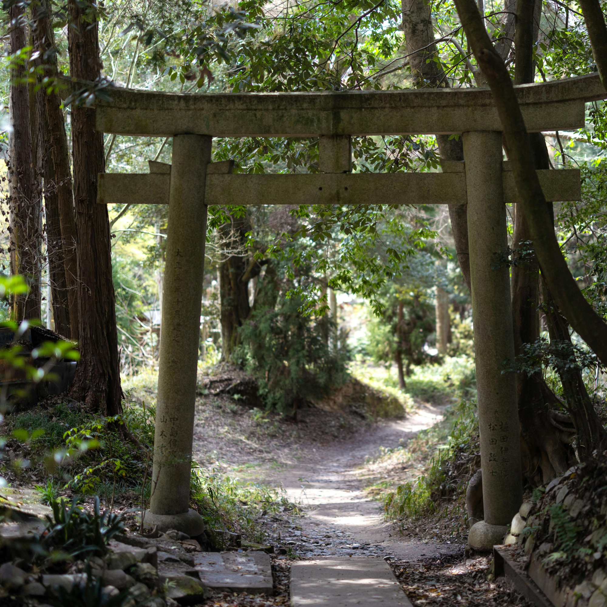 The Threshold Years: Understanding Perimenopause as a Meaningful Transition