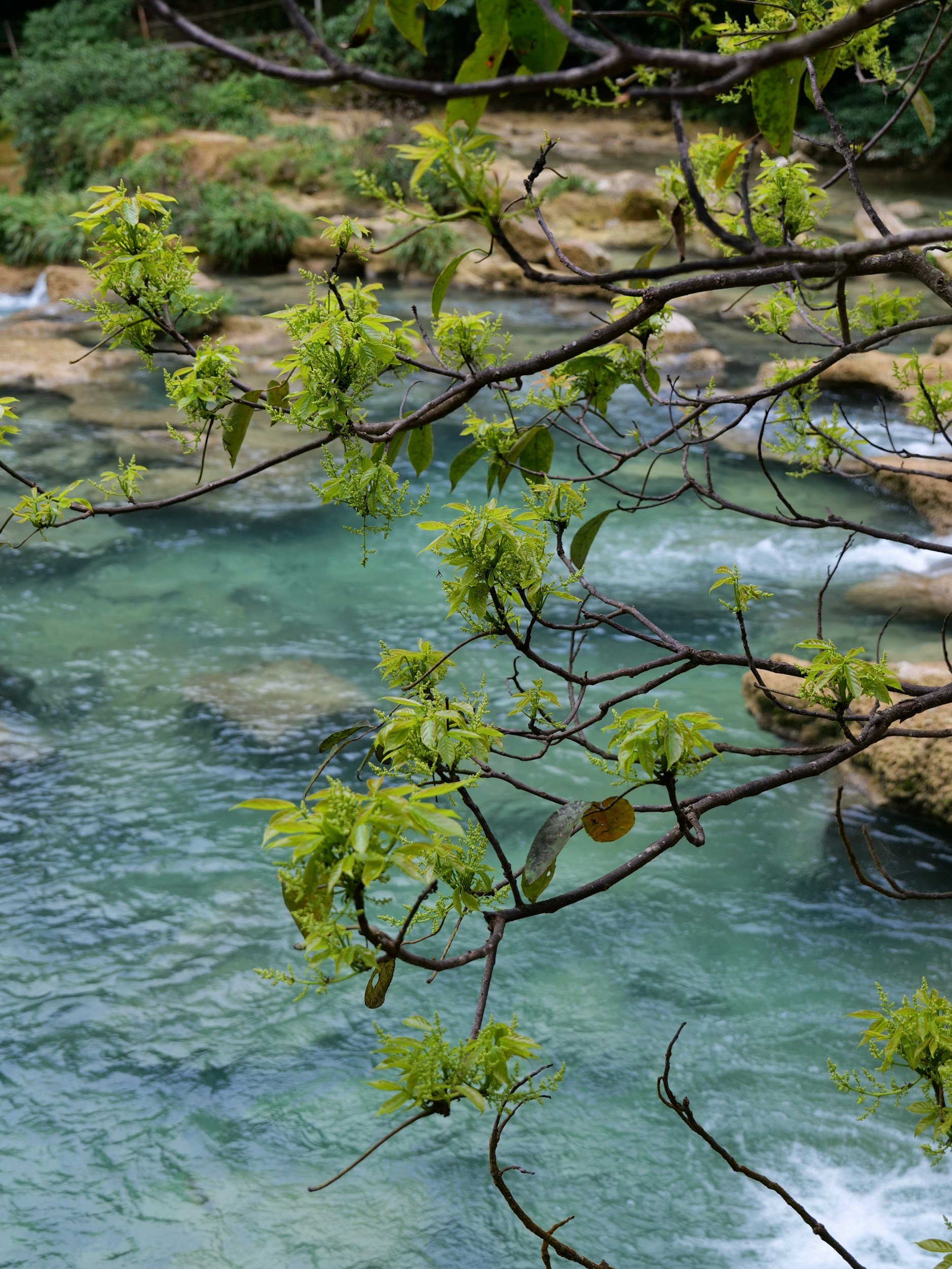 Why the Body Holds Differently Now: Understanding Weight, Fluid, and Metabolism in Perimenopause