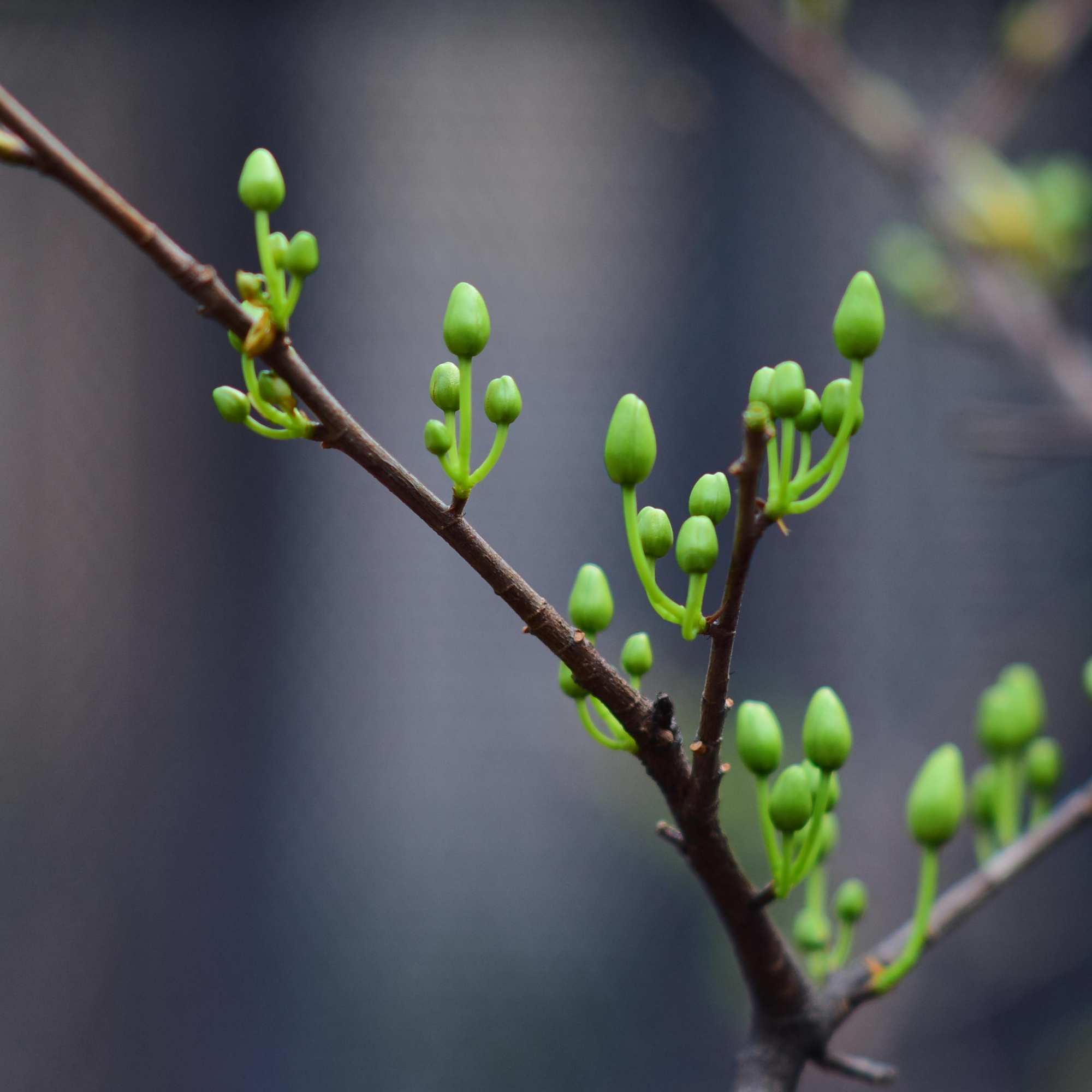 Living With the Season