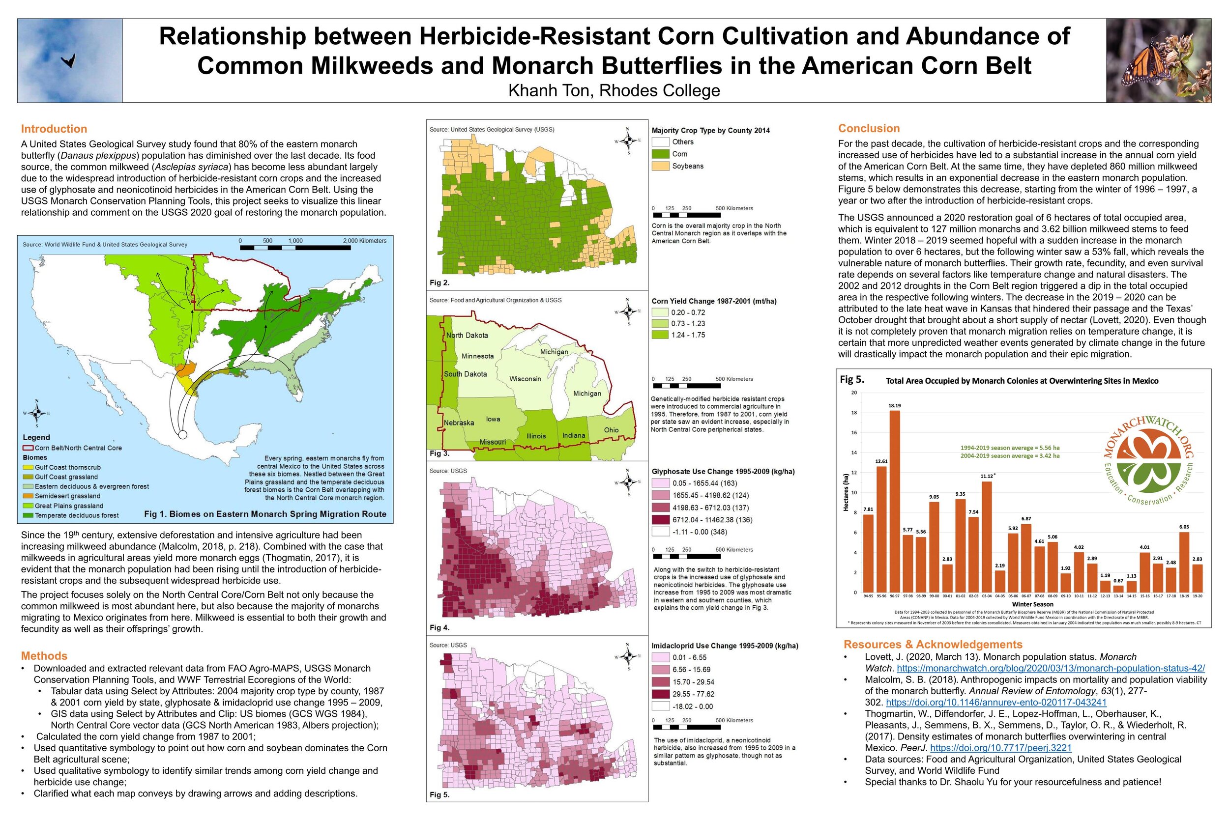 Relationship between Herbicide-Resistant Corn Cultivation and Abundance of Common Milkweeds and Monarch Butterflies in the American Corn Belt
