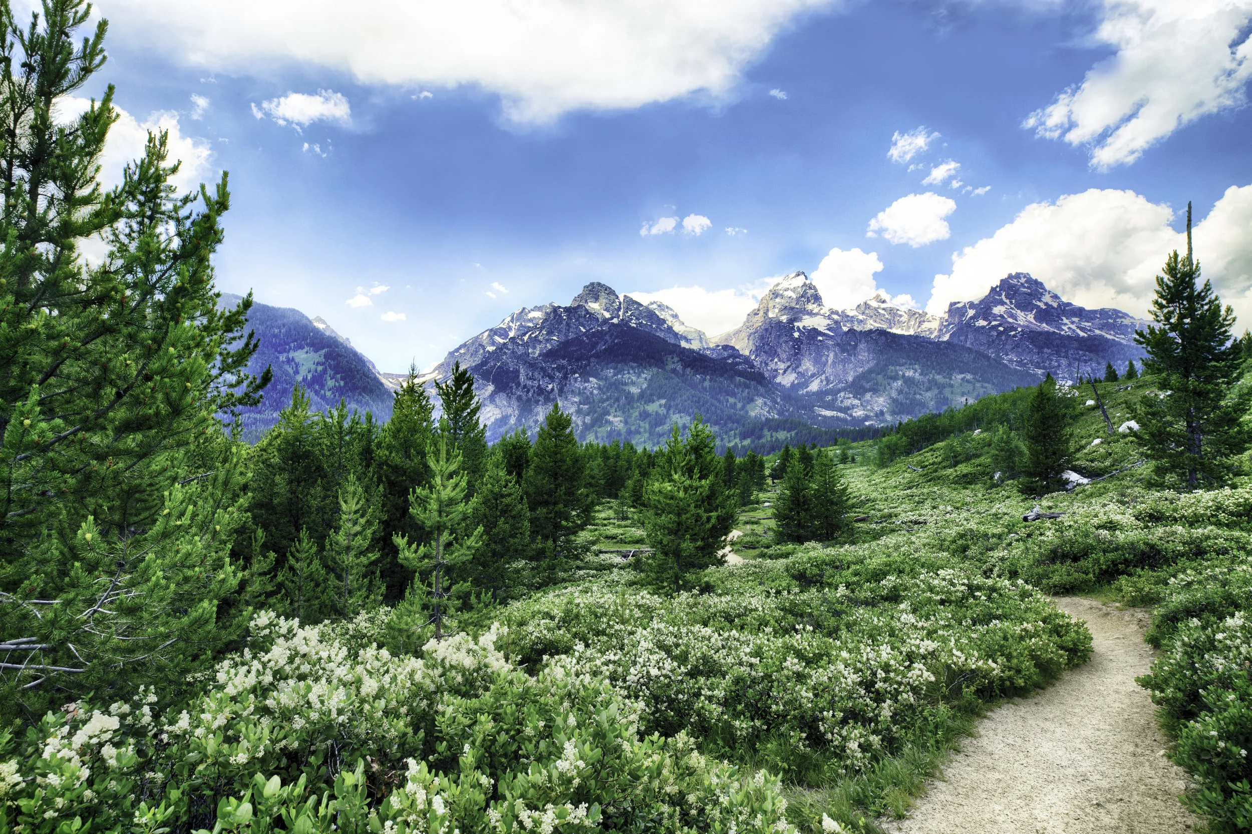 Tetons_Path_Finished.jpg