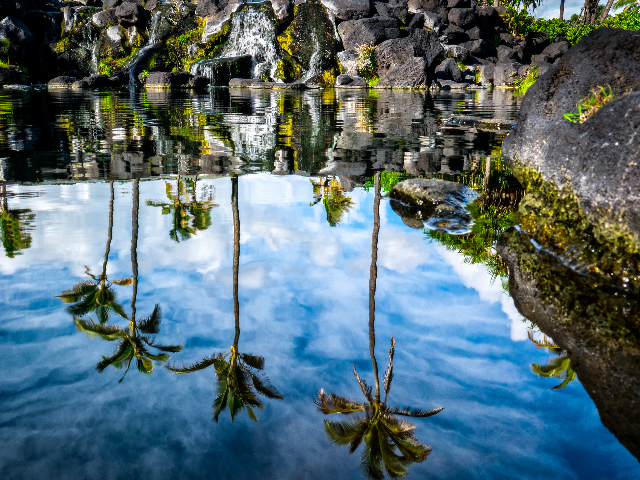 Reflection Pool