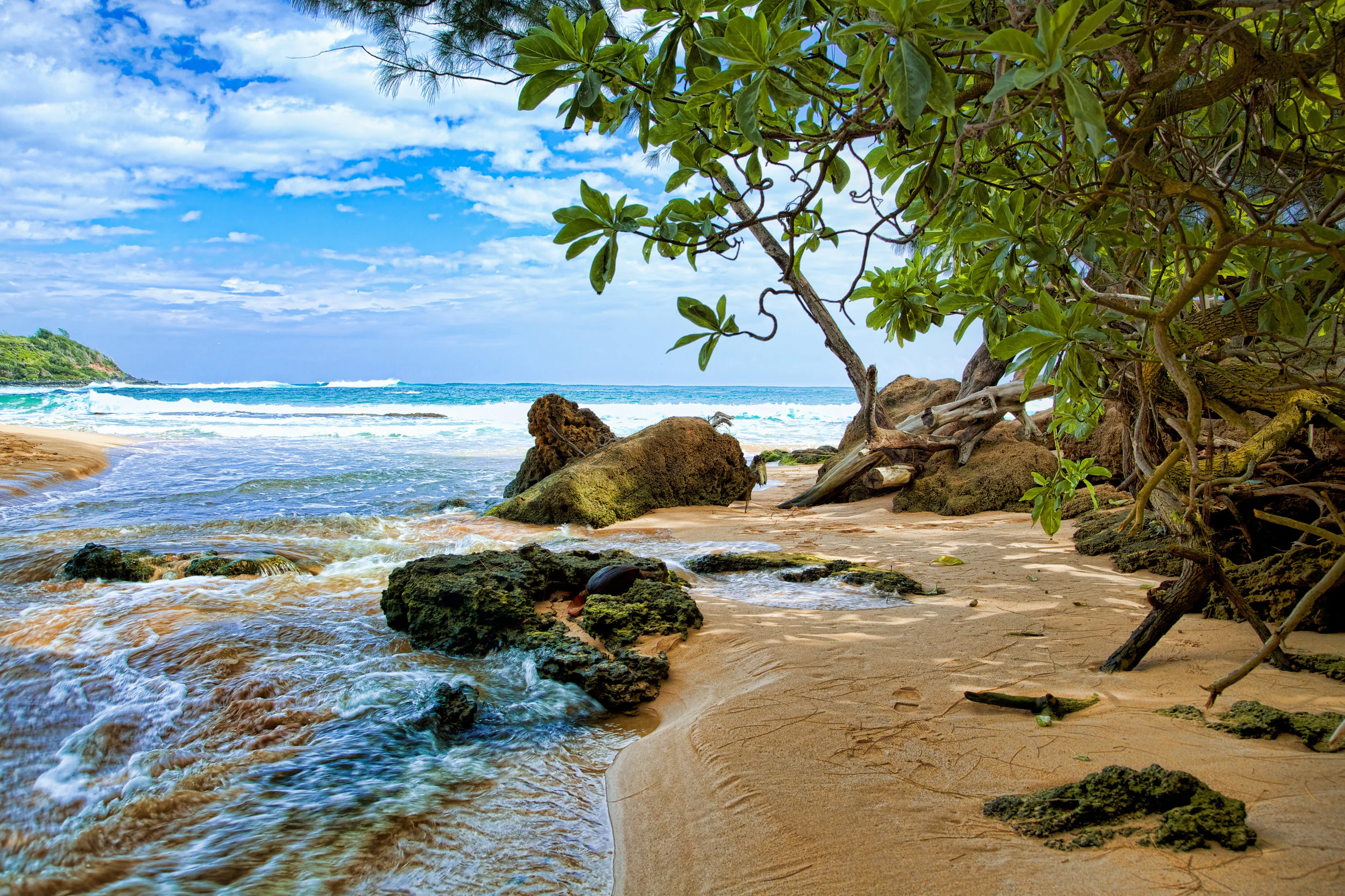 Moloa'a Beach