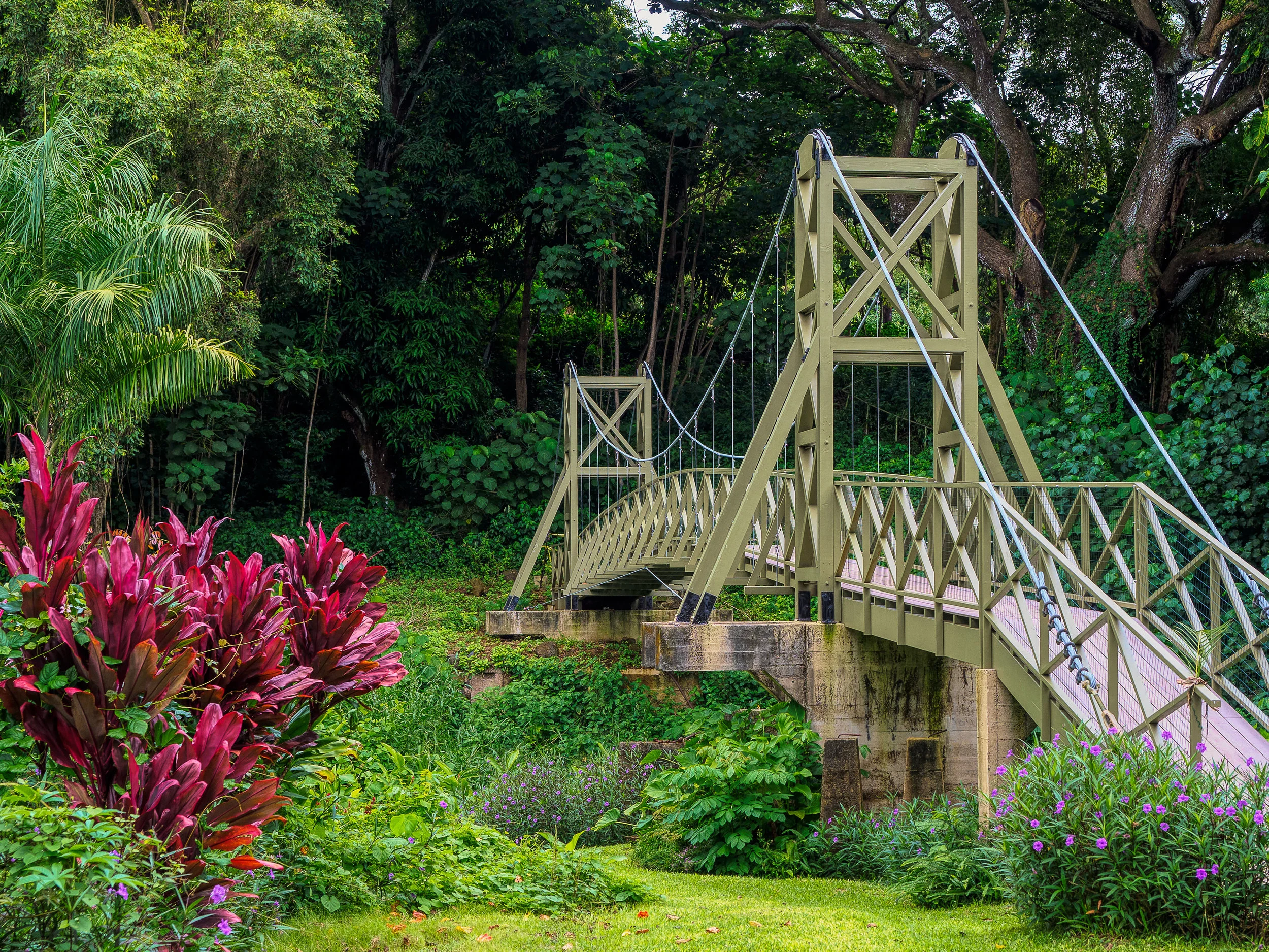Kapaia Swinging Bridge
