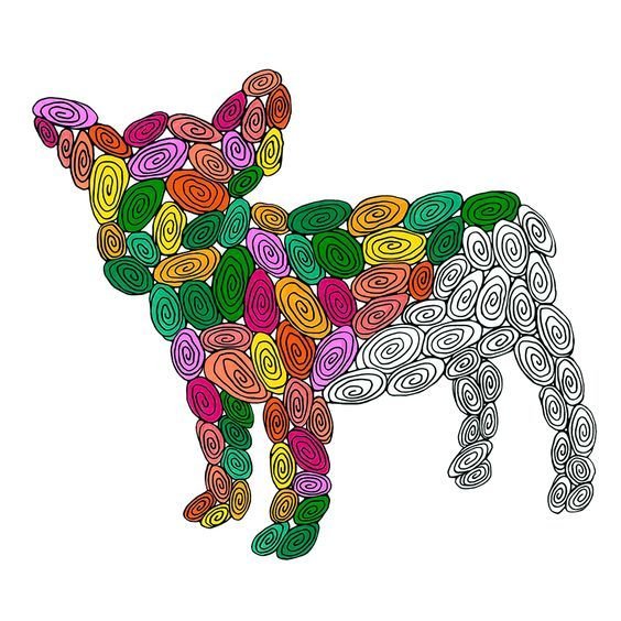 To create something beautiful and motivating from something she was ashamed of, Amy Jones drew an elaborate pattern of spirals , and each time she paid off $100, she’d color in one of the spirals. Photo credit: Emilie Burke / Burke Does