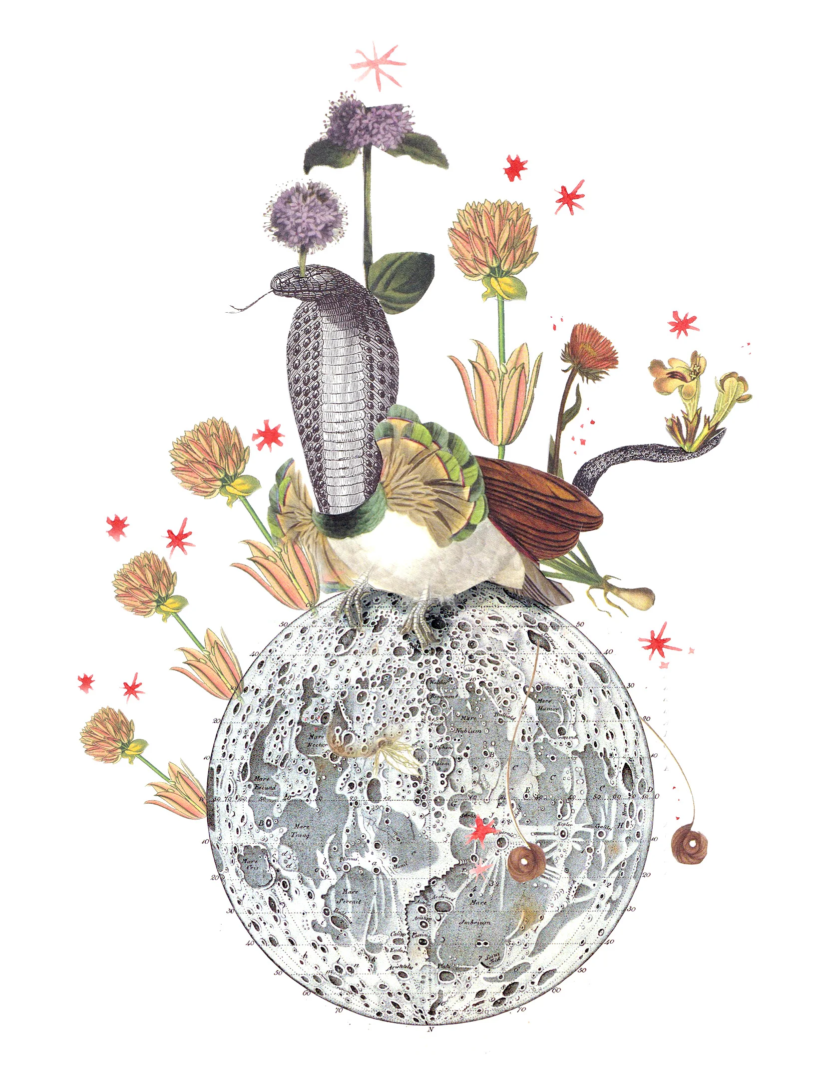 Horoscopes June 2019