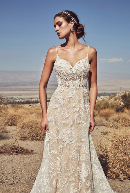 Screen Shot 2022-07-15 at 11.45.30 AM.png