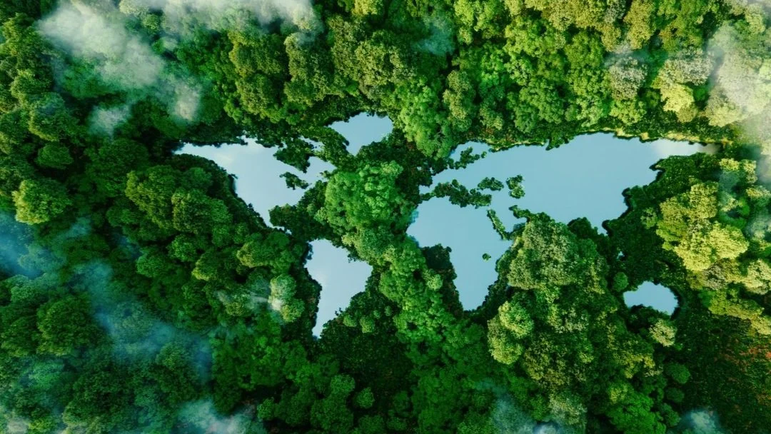 The Reason Why Many Net-Zero Initiatives Fail (and what you can do about it)