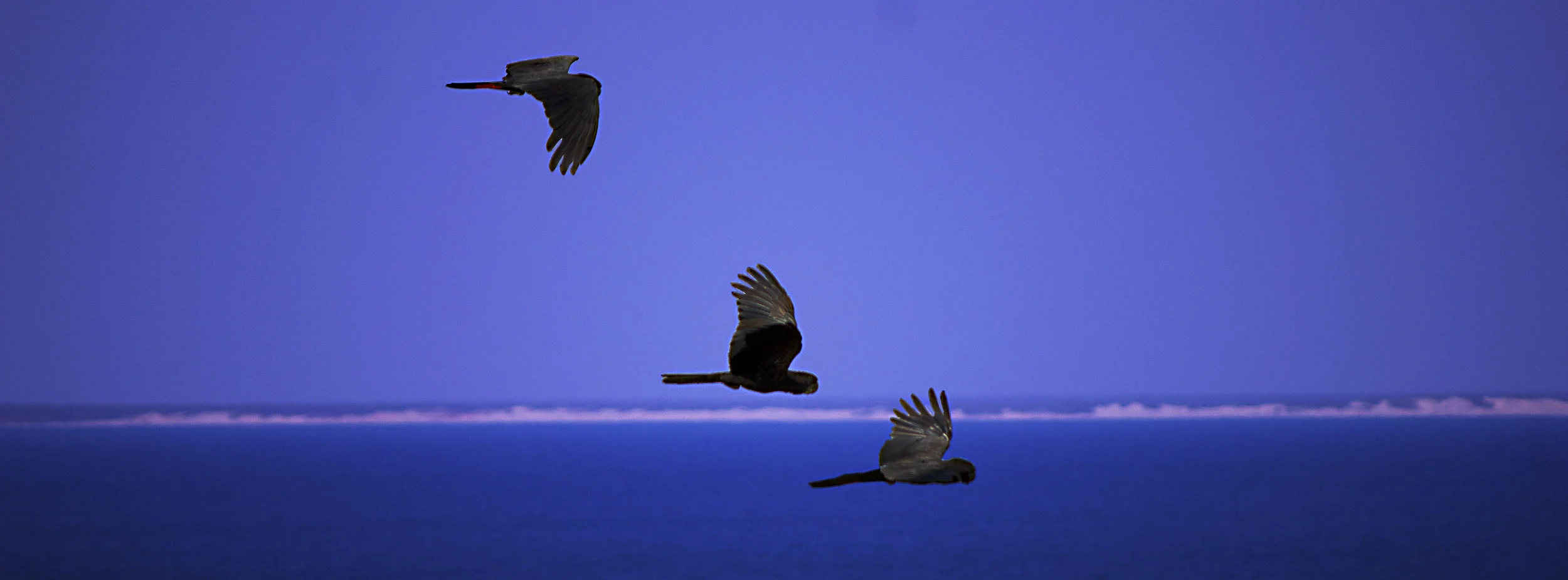 black sea.jpg
