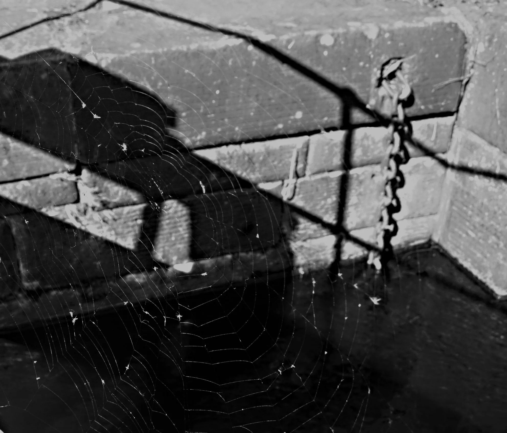 black white web.jpg