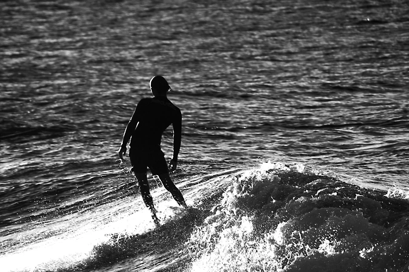IMG_2076.jpg