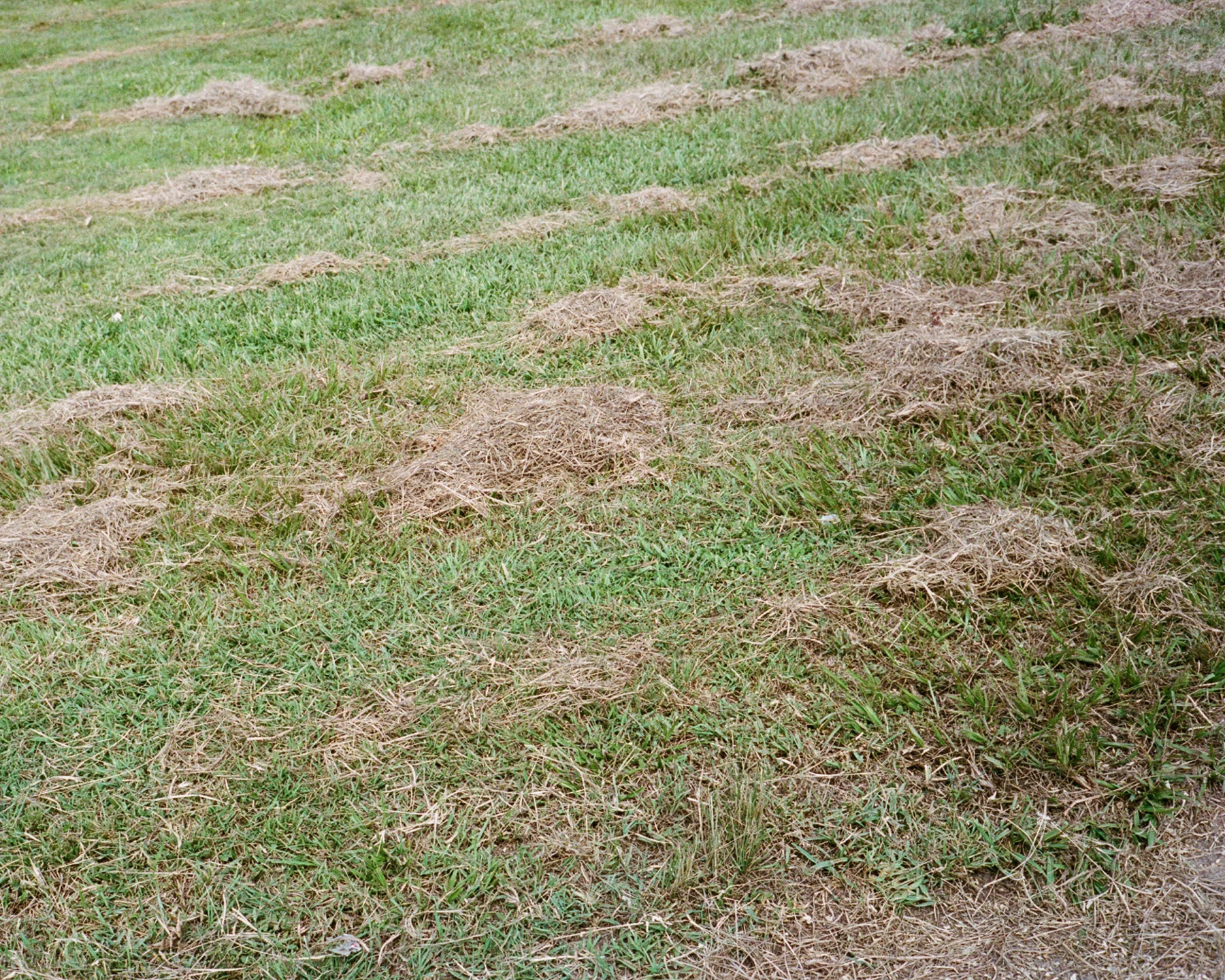 20180822_untitled_001-4-2.jpg