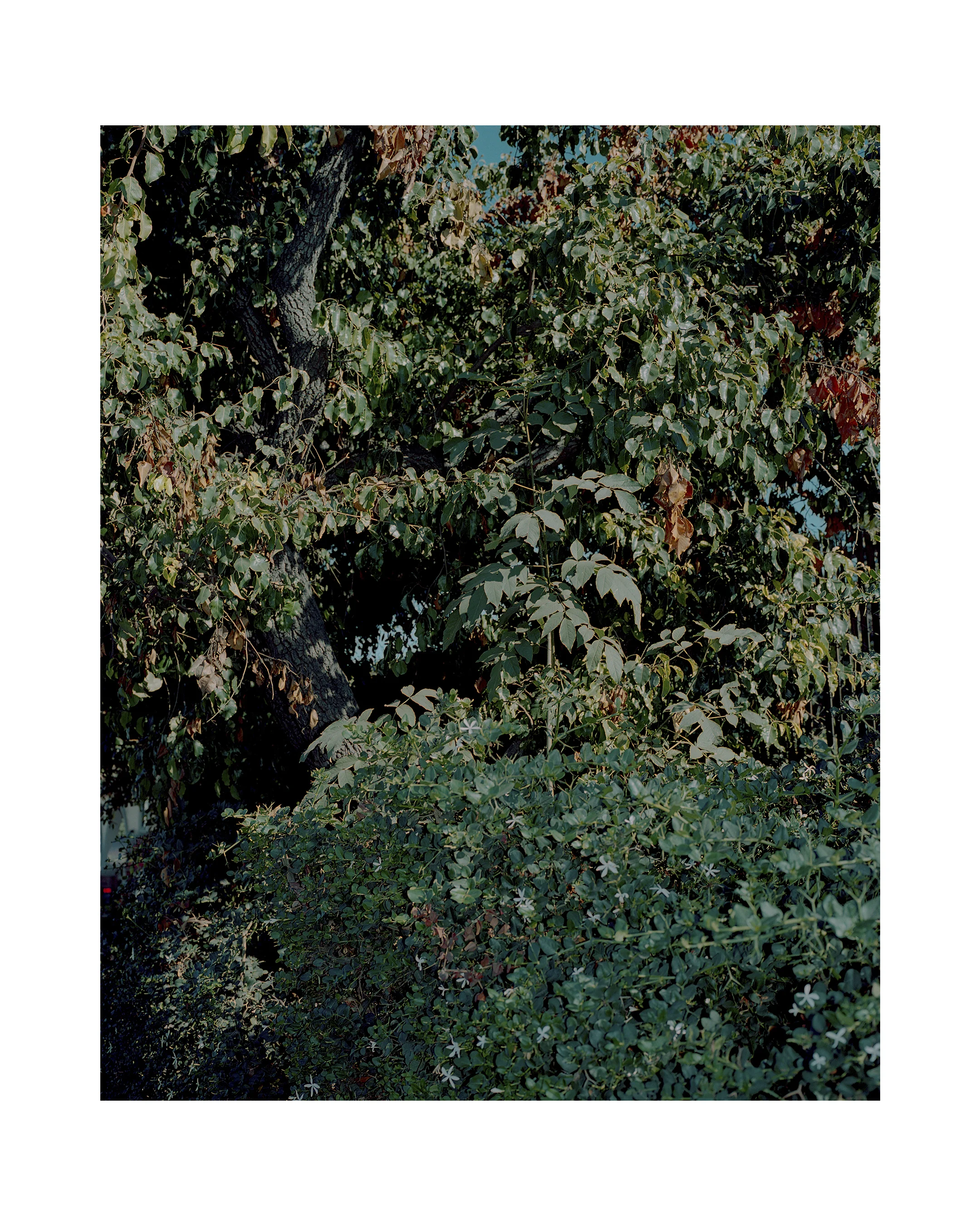 Untitled-1.jpg
