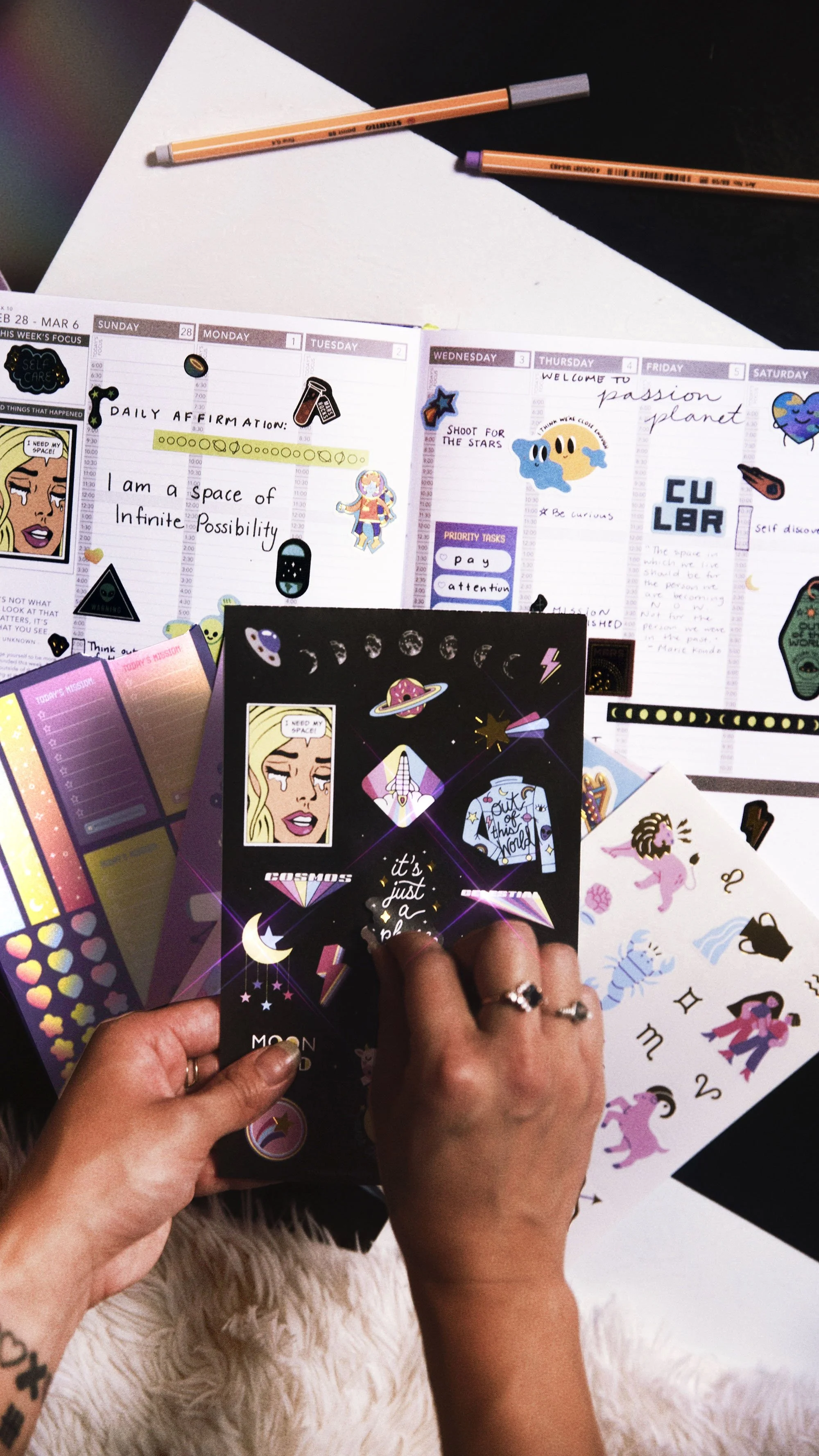 Passion Planner Sticker Set