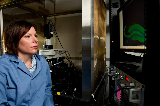 Tufts neuroscientist Jamie Maguire did the basic research that led to development a new drug for postpartum depression http://now.tufts.edu/articles/paving-way-drug-discovery