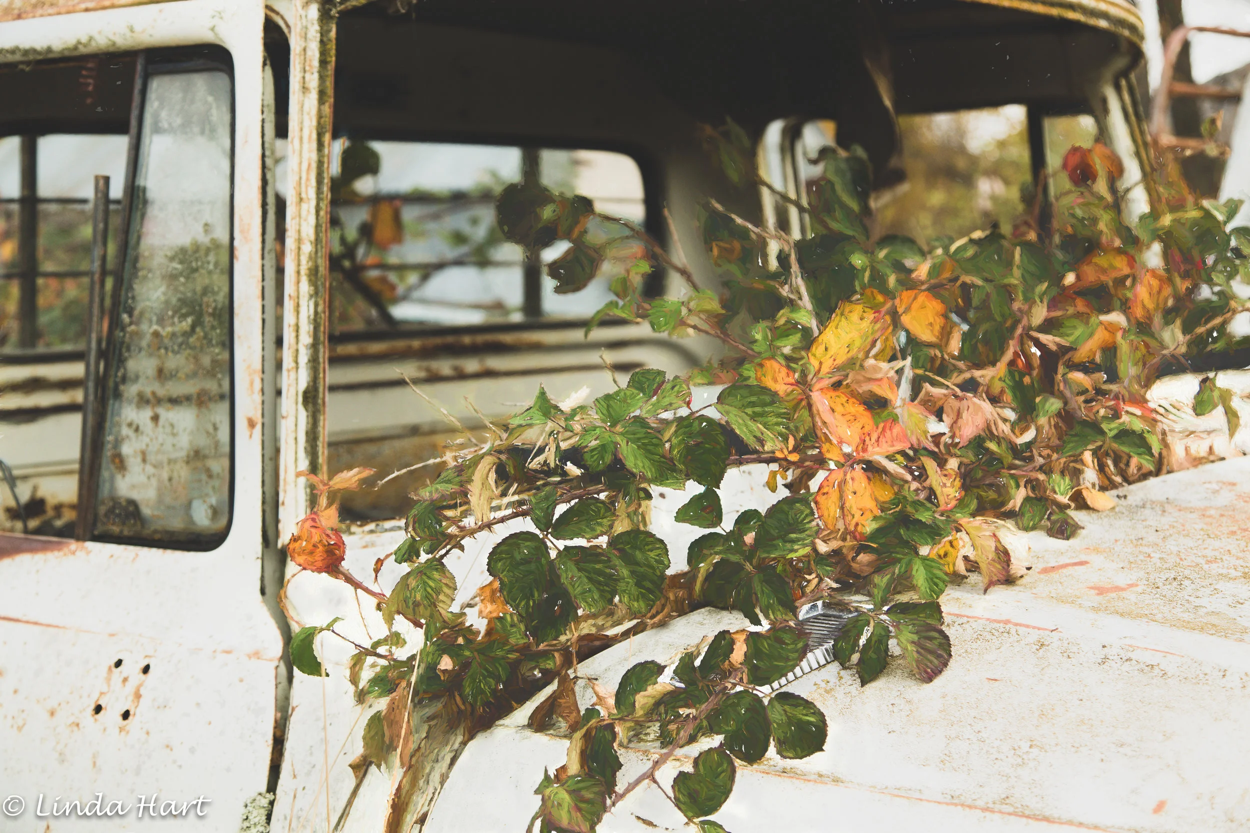 20170501-Artistic decoration.jpg