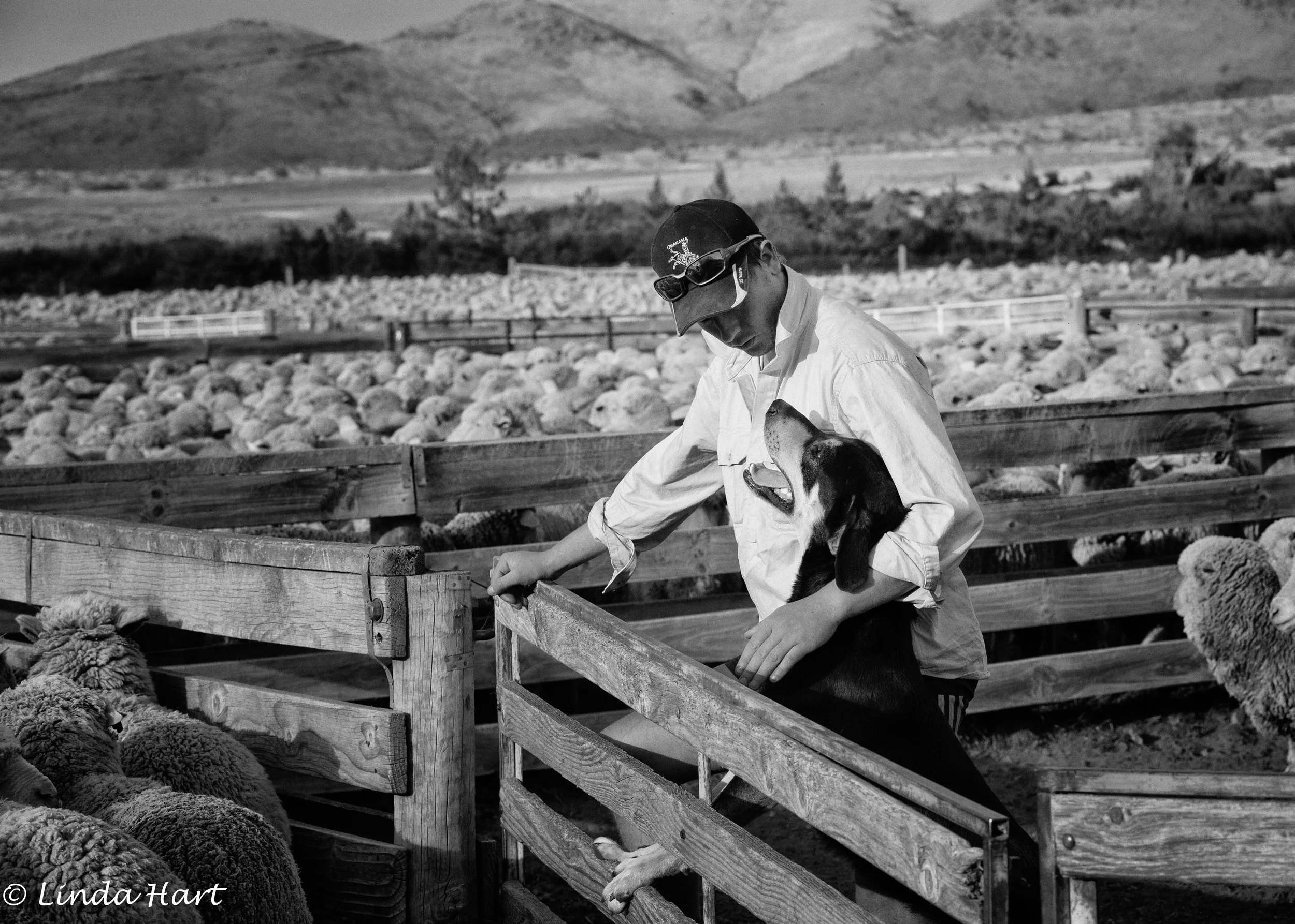 20170429-20170429-Sheppard w Dog BW-Edit.jpg