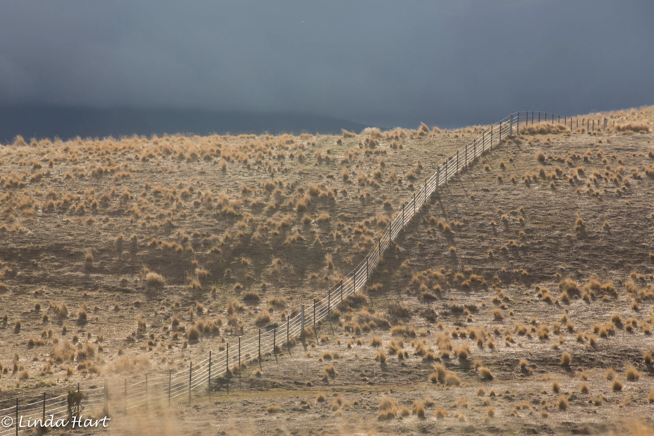 20130818-Otematata fence line.jpg