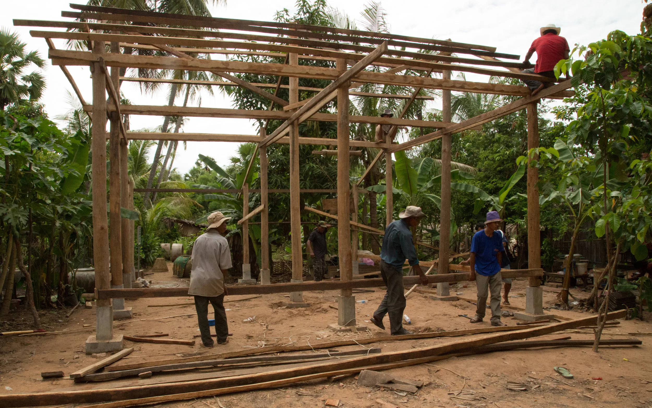 New House - New Home / NGO