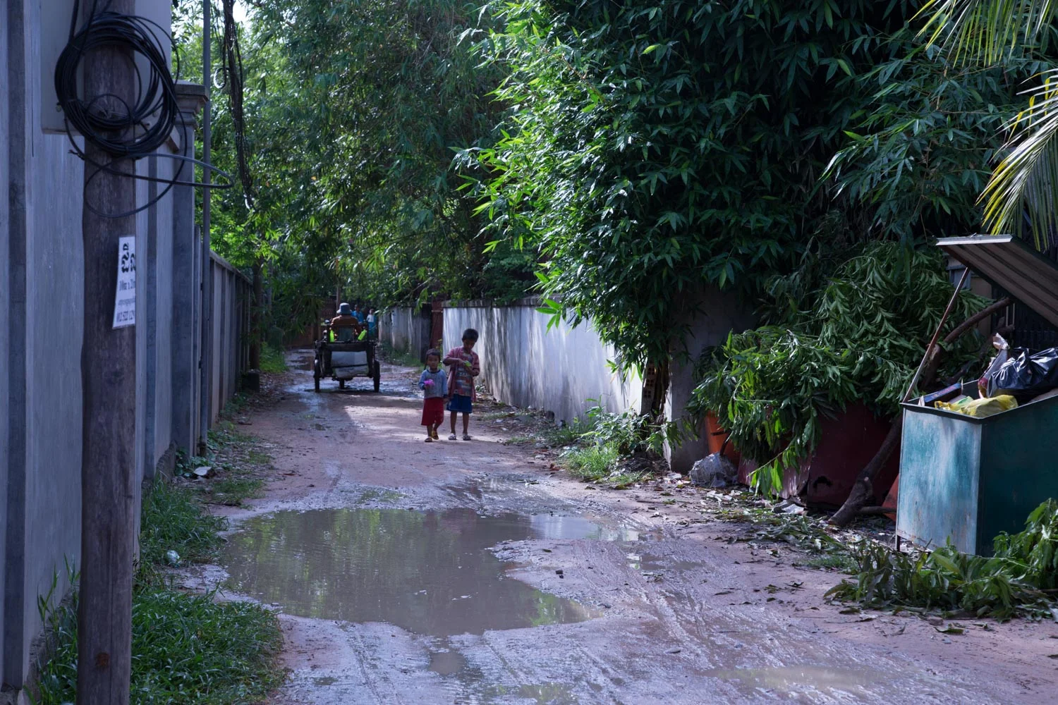 The street leading to school.