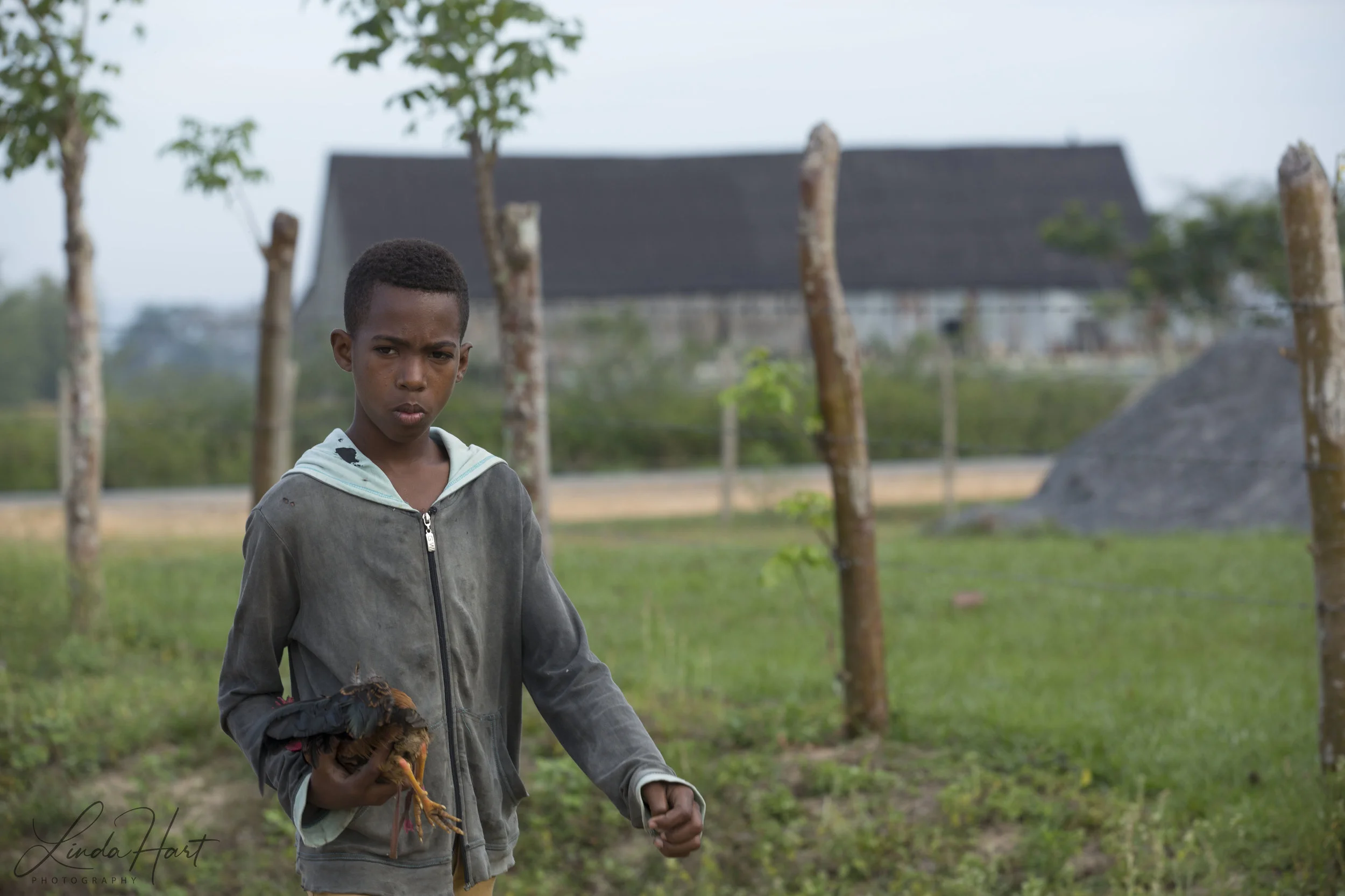 Boy with chicken.jpg