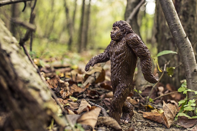 "Nancy Drew and the Jewel Stealing Sasquatch That Moved to Oregon"