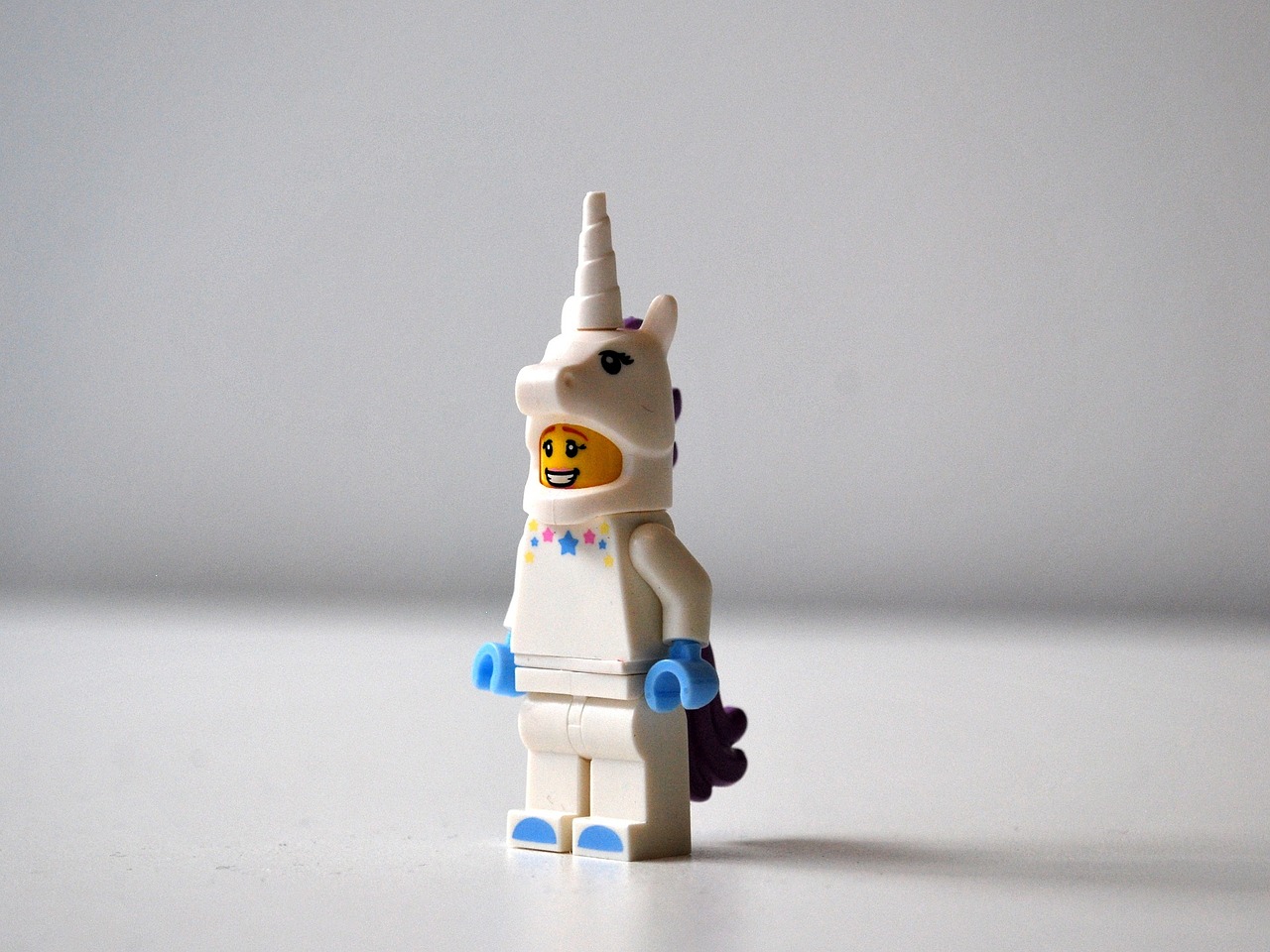 Each transaction is a unicorn. But only the cool ones are lego unicorns.
