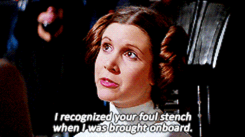 stinky princess leia GIF-downsized_large.gif