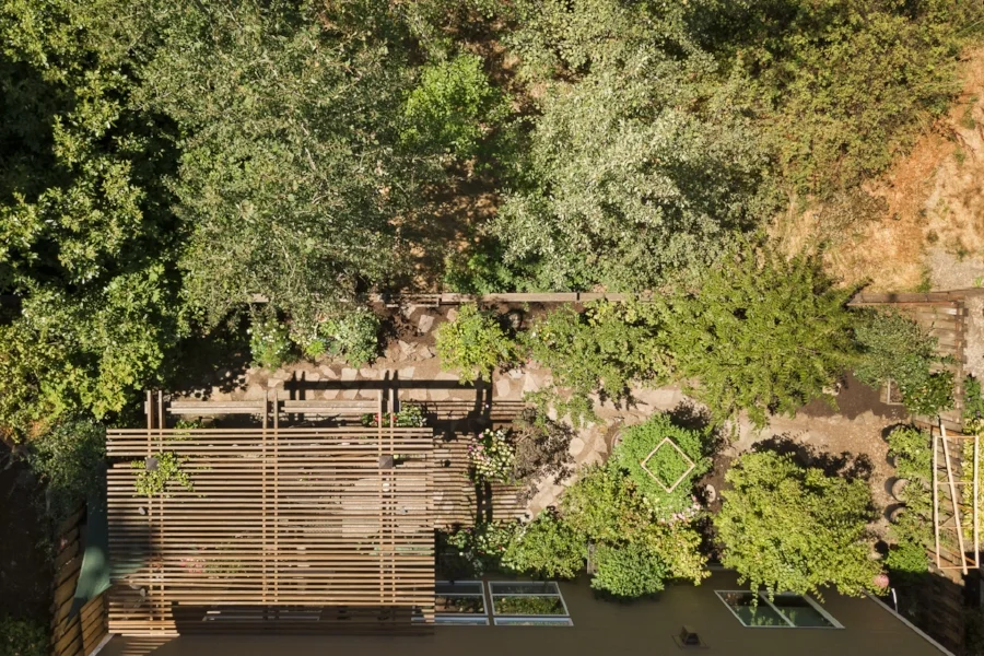 A "bird's eye view" of the backyard...