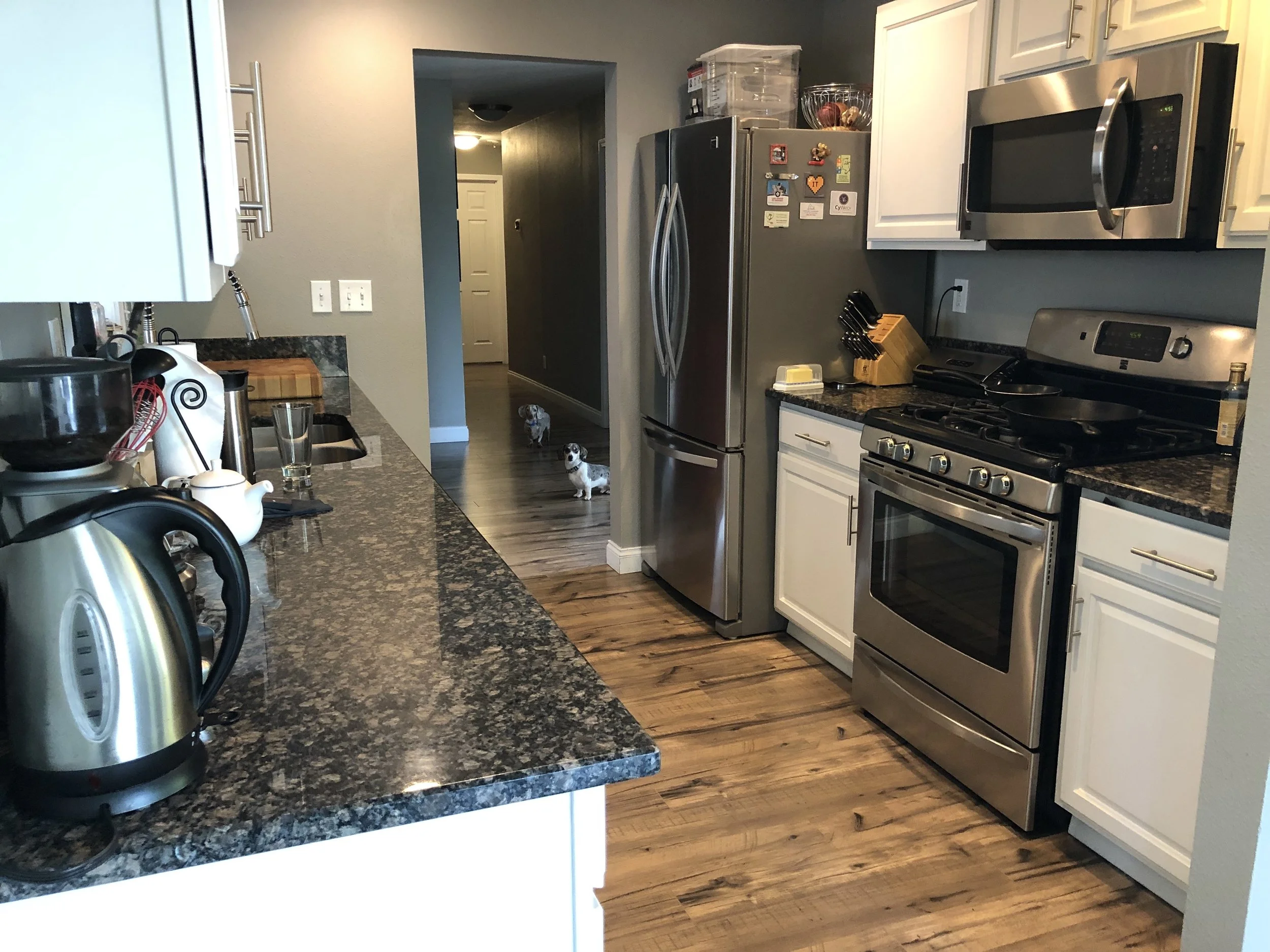 All good home photos have background dogs. This is my kitchen; I just took a quick photo today. Please ignore the cluttered countertops.