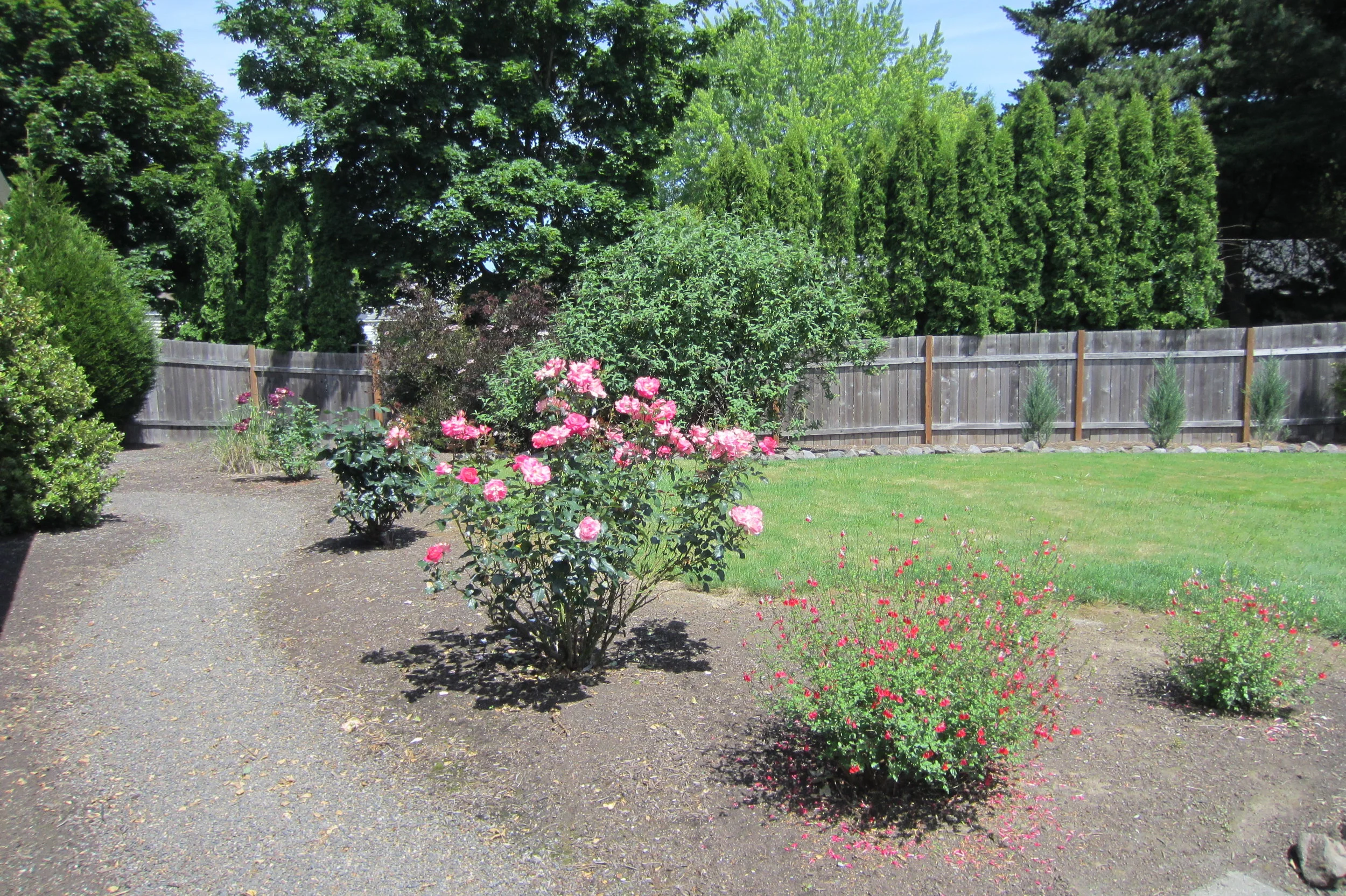 Part of my starter home backyard that I was reluctant to give up. Originally all field grass, I landscaped it myself into what we Realtors call a “park-like backyard”