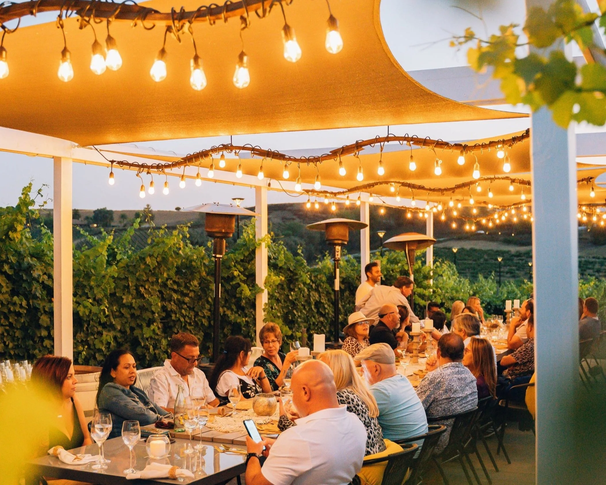 Rent our Vineyard Patio — Akash Winery