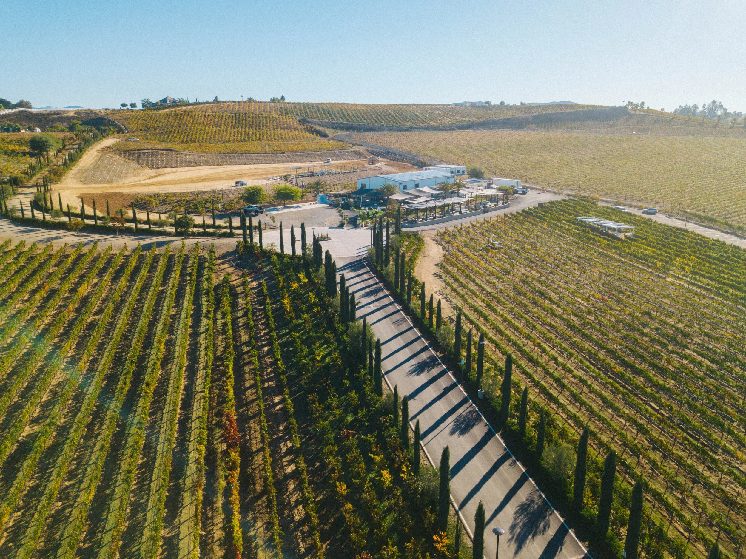 Home — Akash Winery