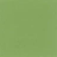 light sage green.jpg