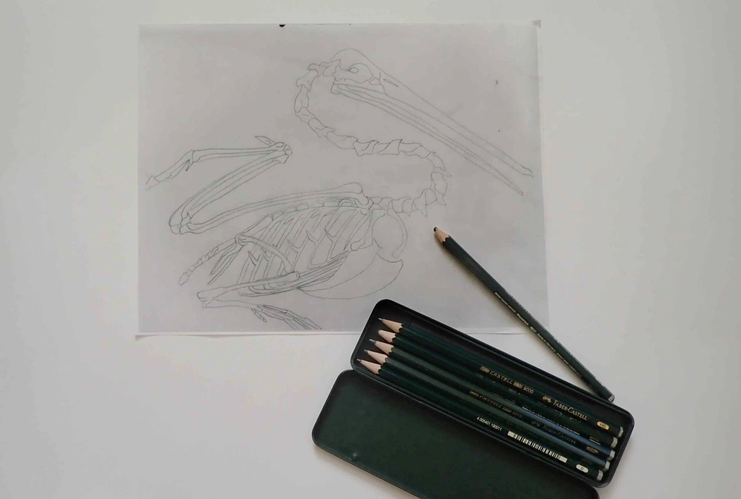 Draw.jpg