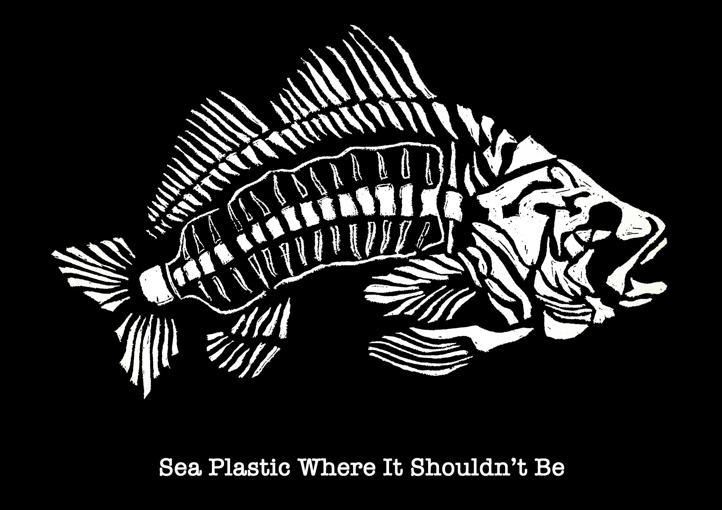Fish_Titled-Web.jpg