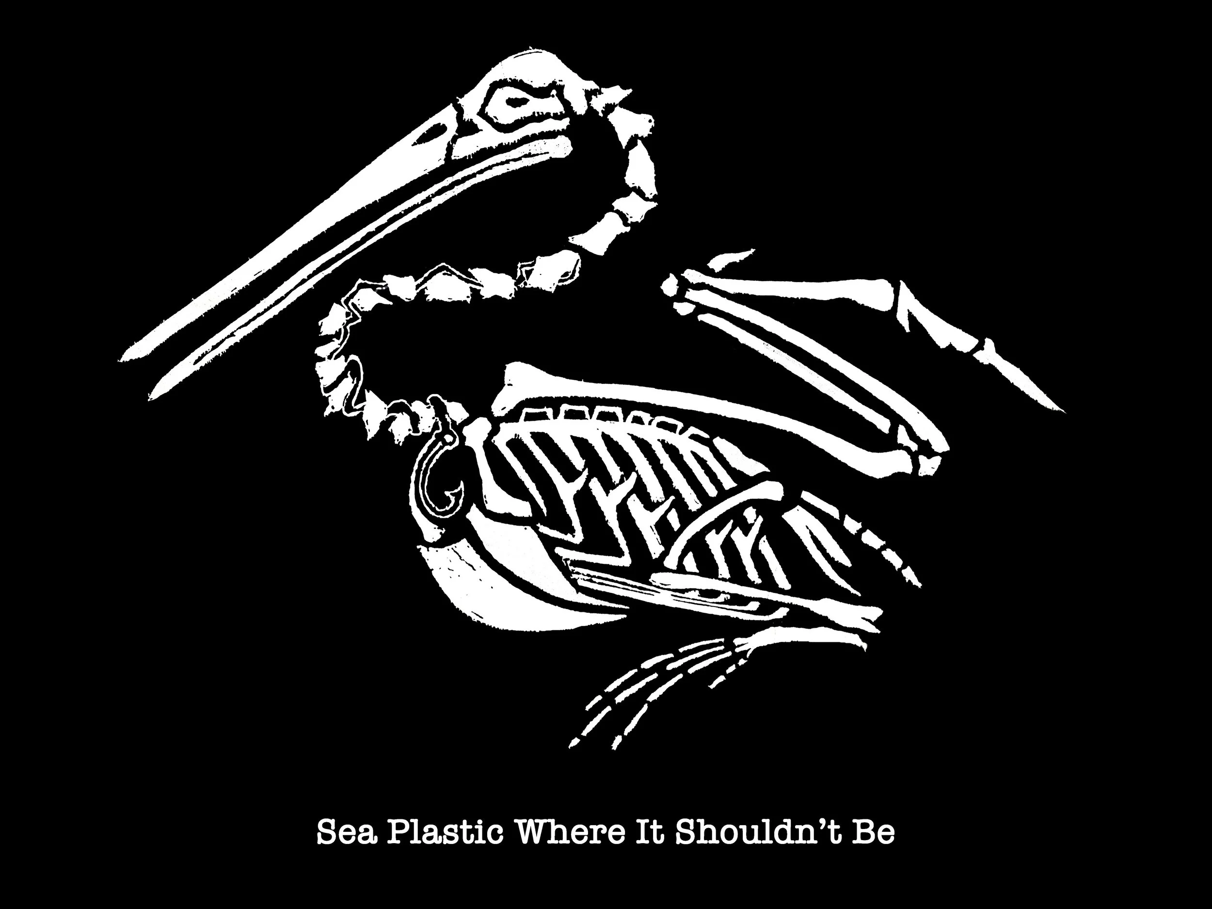 Pelican_Titled-Web.jpg