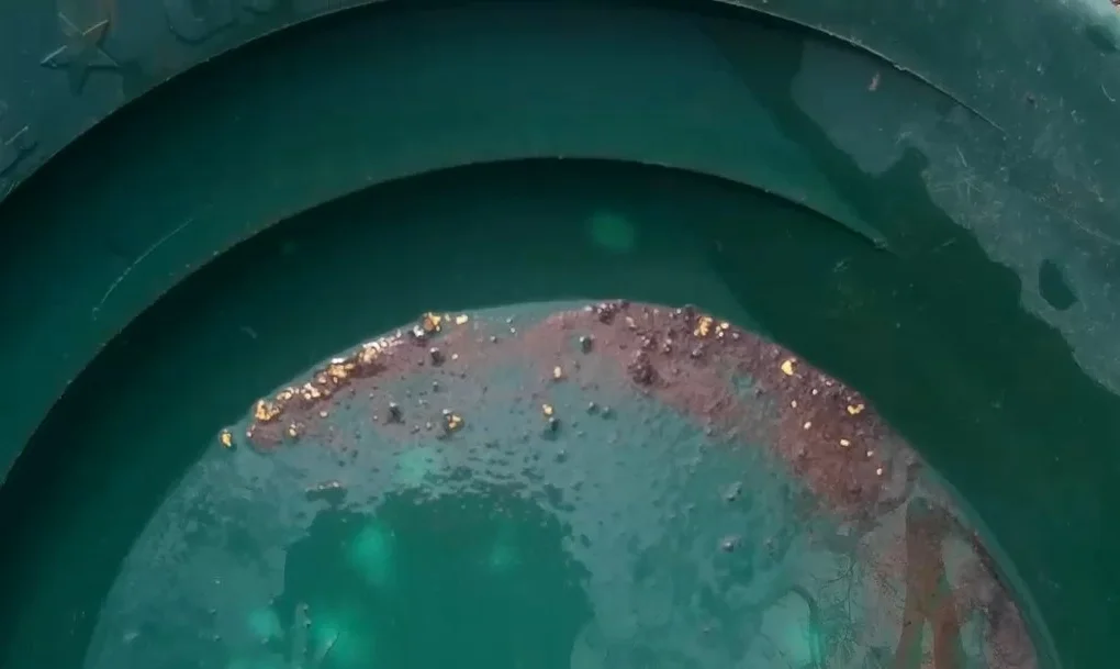 Gold and Mineral Panning sample