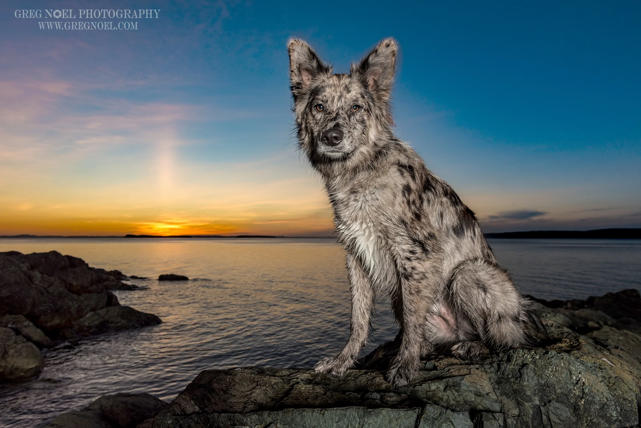 Sunset Session