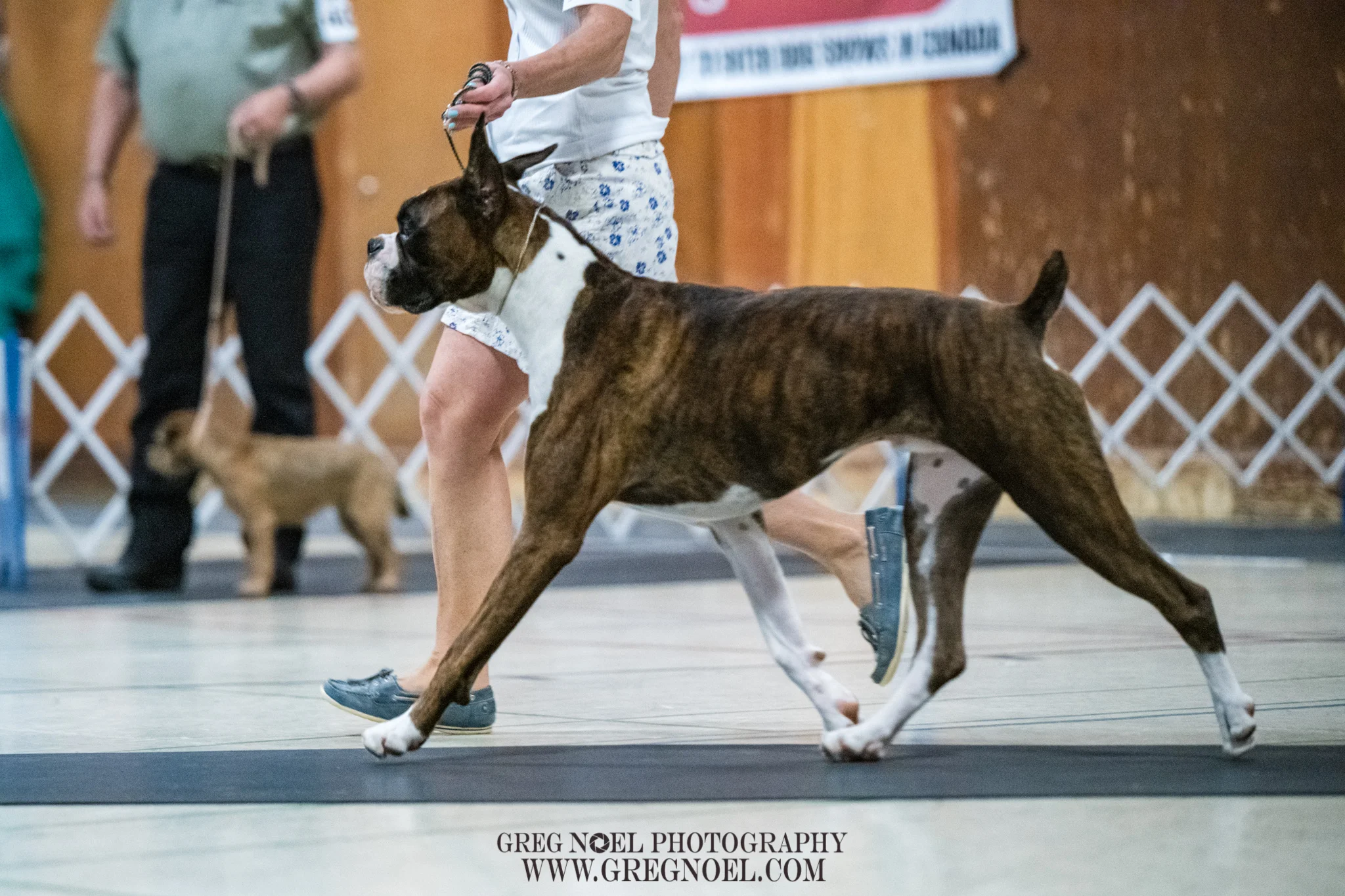 NKC candids and ring July 2019-131.jpg