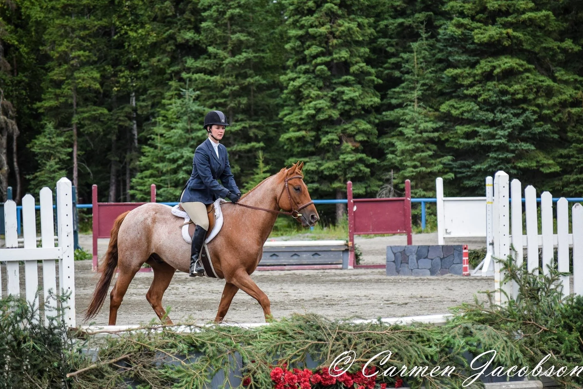Show Jumping