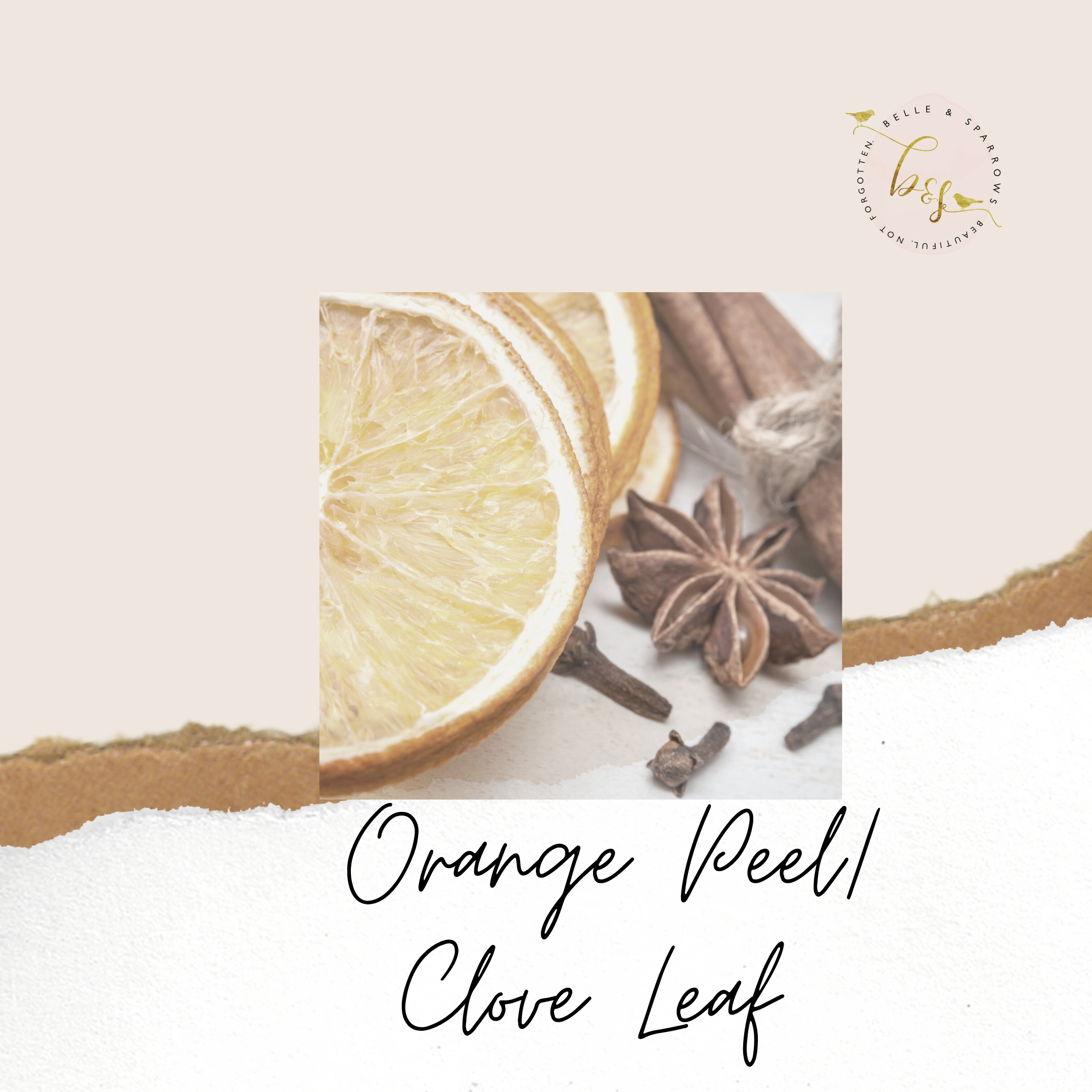 Orange Peel Clove Leaf