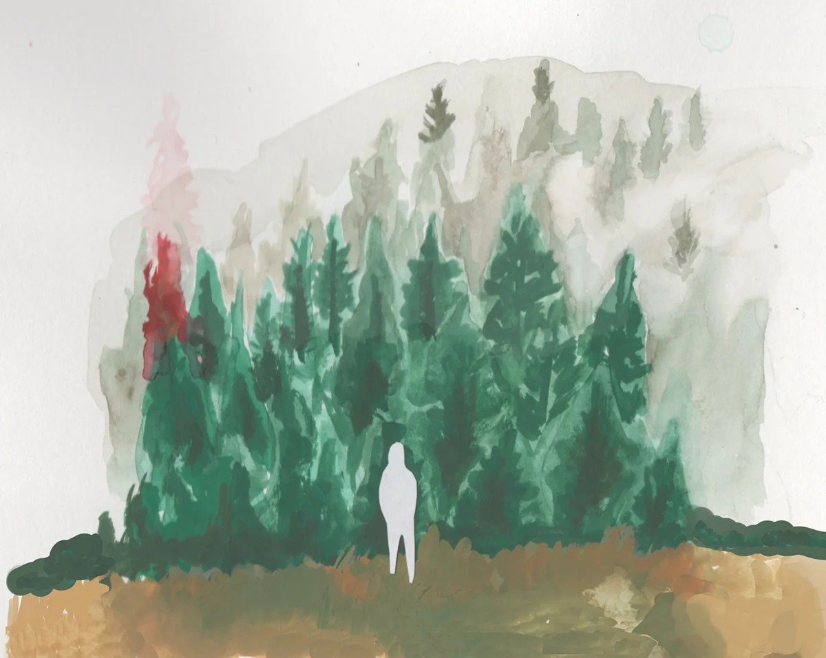 Science Rules: Brad Efford on Bill Nye the Science Guy, Episode 9: "Biodiversity"