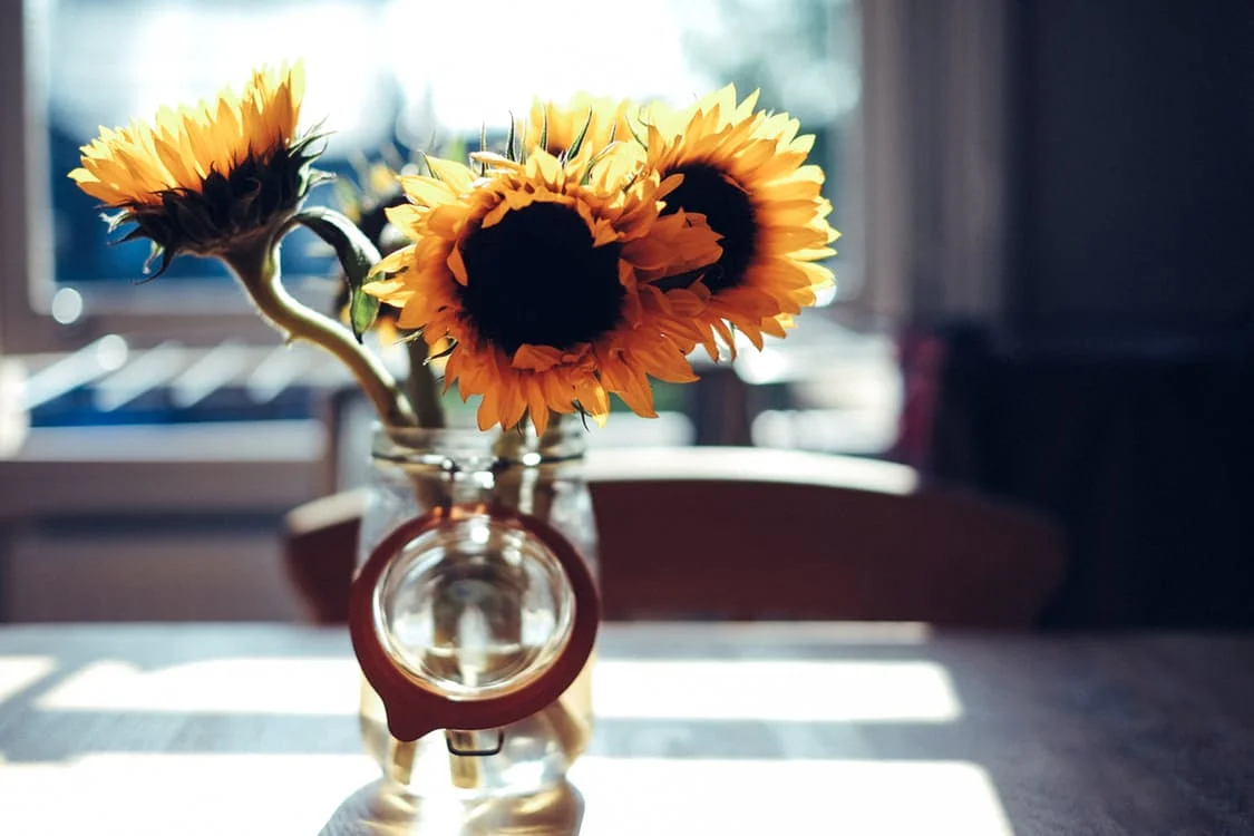 The Notion of Hopeful Sanity & Ambiguity by Asdrubal Quintero