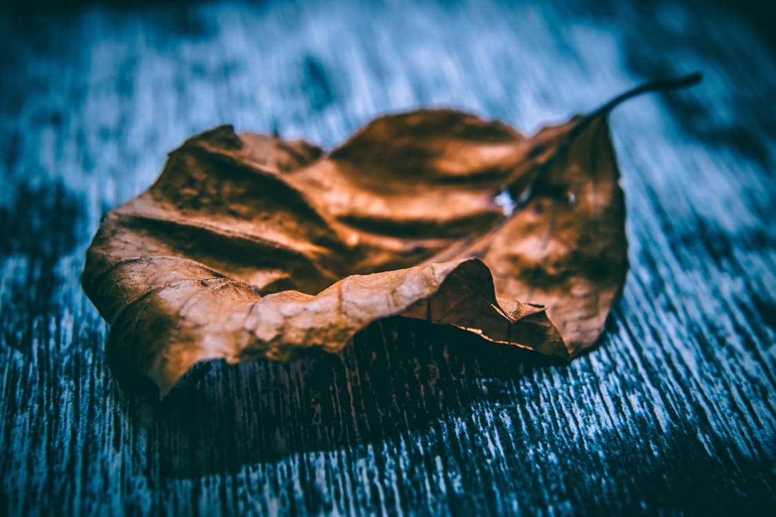 pexels-photo-228182.jpeg