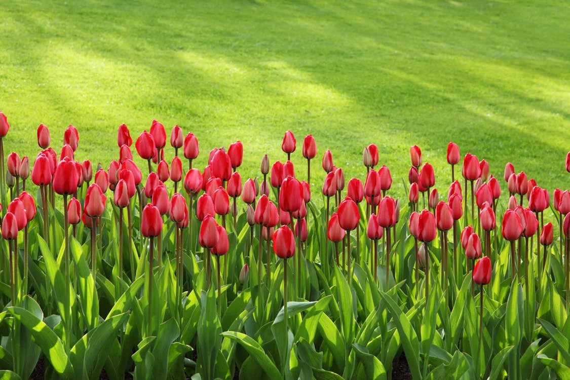 Aeration