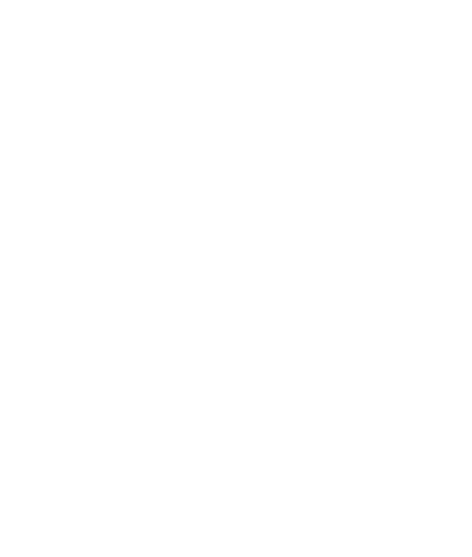 The Potters' Studio