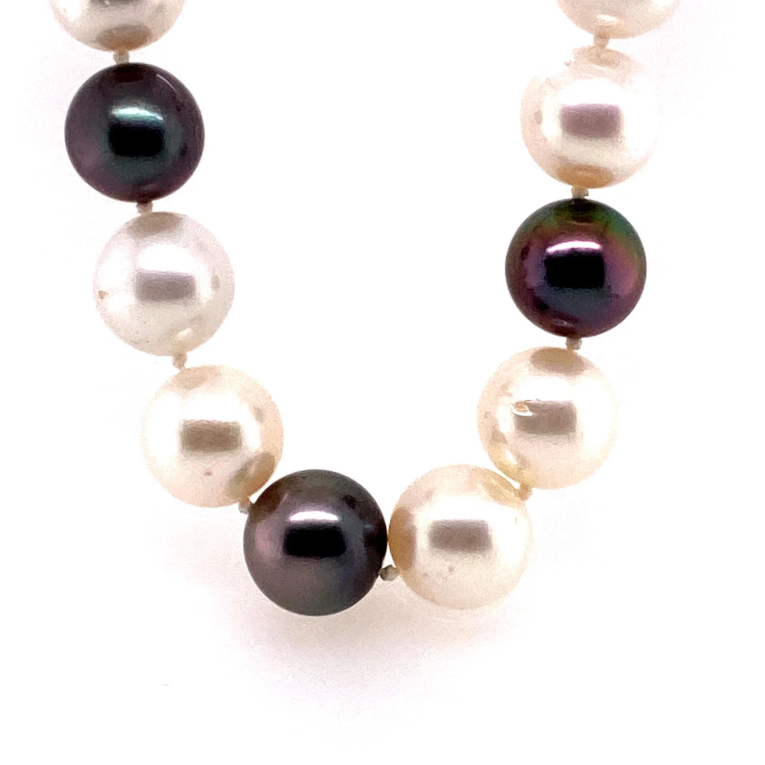 Black & White South Sea/Tahitian Pearl Necklace