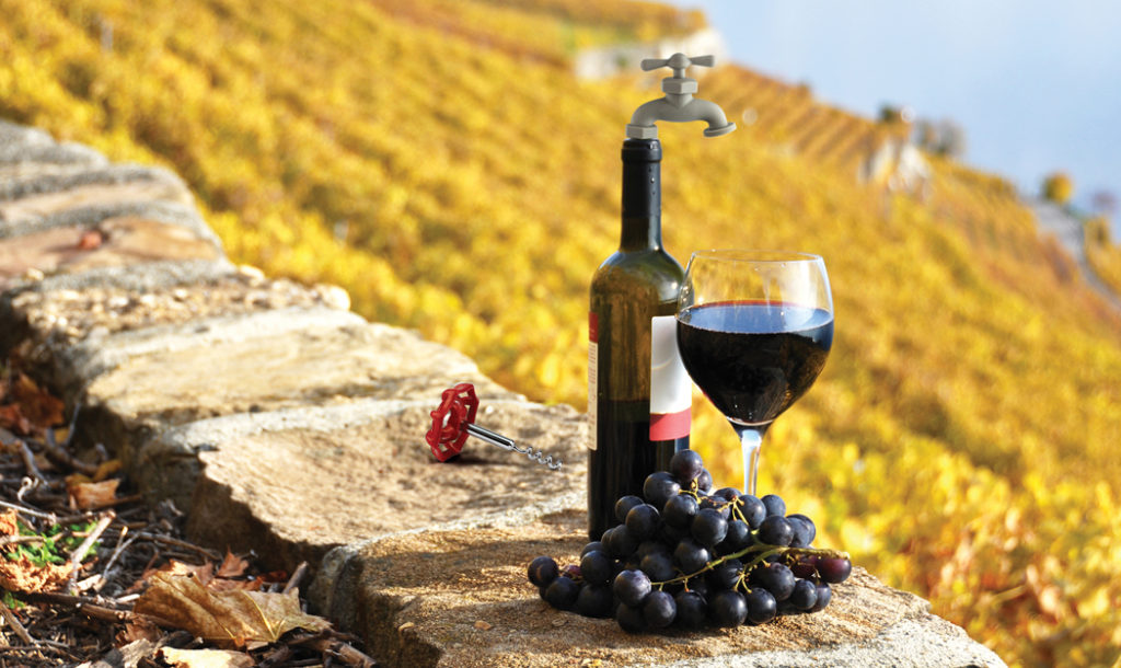 Vineyard-Wine-Tools_Lifestyle-1-1024x610.jpg